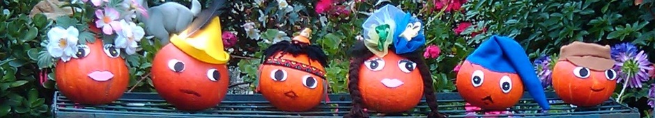 Bandeau Randonneurs