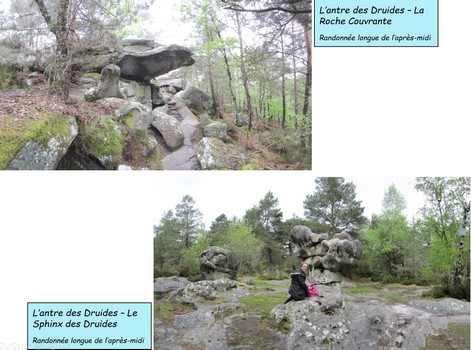 druides