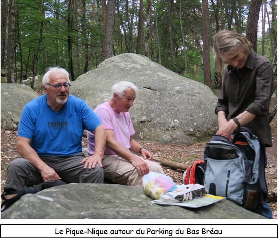 Photos pique nique